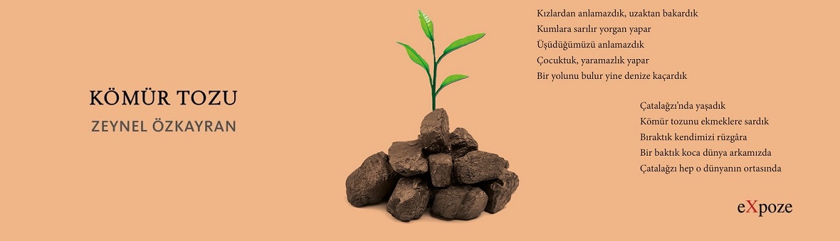 Kömür Tozu