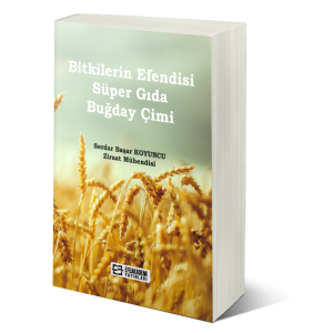 Bitkilerin Efendisi Süper Gıda Buğday Çimi