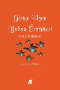 Geriye Uçan Yaban Ördekleri Geriye Uçan Yaban Ördekleri