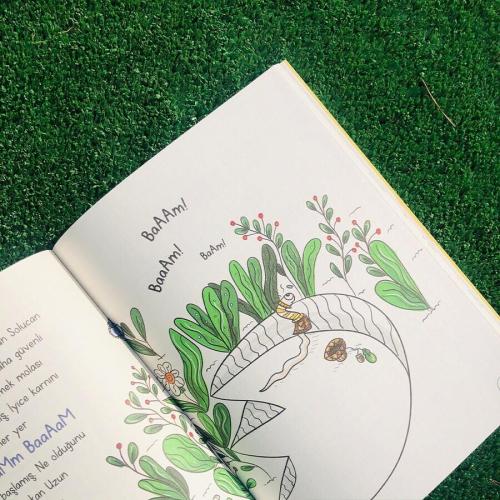 İlkokul Macera Seti 6 Kitap (Yaş: 6+)