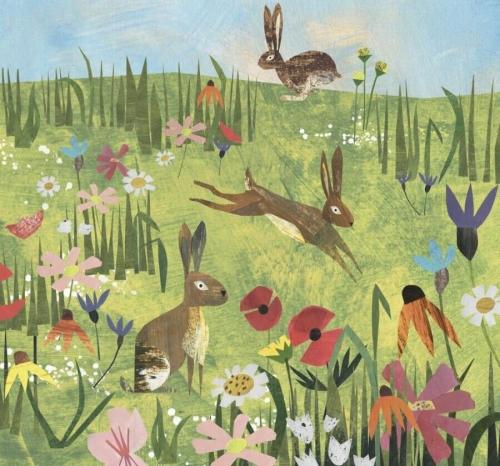 Doğayı Keşfediyorum Seti 7 Kitap (Yaş: 5+) Kolektif