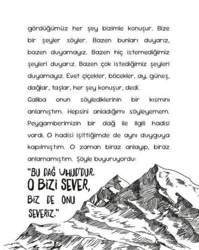 Vadideki Misafir (Yaş: 9+) Hatice Uğur