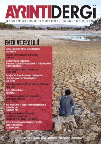 Ayrıntı Dergi Sayı 47
