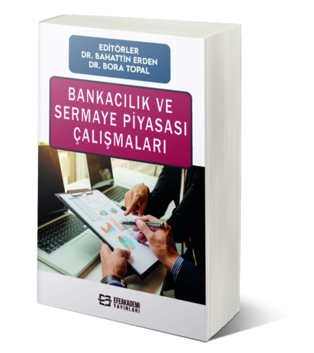 Bankacılık ve Sermaye Piyasası Çalışmaları Bahattin Erden