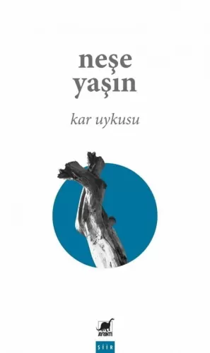 Kar Uykusu