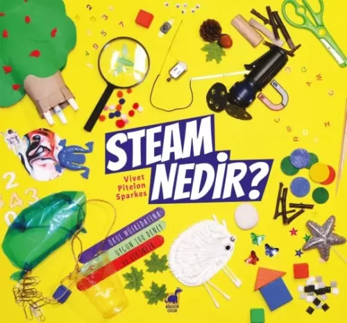 STEAM Nedir?